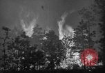 Image of forest fire New Jersey United States USA, 1944, second 29 stock footage video 65675071254