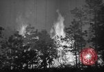 Image of forest fire New Jersey United States USA, 1944, second 31 stock footage video 65675071254