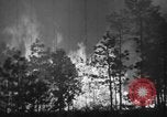 Image of forest fire New Jersey United States USA, 1944, second 32 stock footage video 65675071254