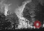 Image of forest fire New Jersey United States USA, 1944, second 33 stock footage video 65675071254