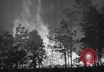 Image of forest fire New Jersey United States USA, 1944, second 34 stock footage video 65675071254