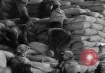 Image of bread supplied to Italian citizens in World War 2 Italy, 1944, second 10 stock footage video 65675071256