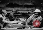 Image of bread supplied to Italian citizens in World War 2 Italy, 1944, second 16 stock footage video 65675071256