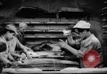 Image of bread supplied to Italian citizens in World War 2 Italy, 1944, second 18 stock footage video 65675071256