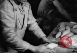 Image of bread supplied to Italian citizens in World War 2 Italy, 1944, second 20 stock footage video 65675071256