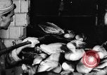 Image of bread supplied to Italian citizens in World War 2 Italy, 1944, second 23 stock footage video 65675071256
