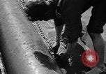 Immagine di Unità alleate Anzio Italia, 1944, secondo 23 filmato di repertorio 65675071262