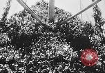 Image of troops ships India, 1942, second 16 stock footage video 65675071271