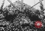 Image of troops ships India, 1942, second 17 stock footage video 65675071271