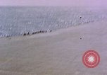 Standbild F6Fs und Douglas SBD Dauntless auf Flight Deck der USS Lexington Pazifik, 1944, aus Sekunde 20 historischem Filmmaterial Videoclip 65675071278