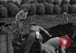 Standbild japanische Kriegsgefangene Mukden Mandschurei, 1945, aus Sekunde 33 historischem Filmmaterial Videoclip 65675071283