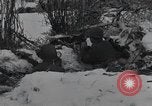 Image of 101st Airborne Division Bastogne Belgium, 1945, second 14 stock footage video 65675071301