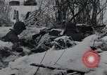 Image of 101st Airborne Division Bastogne Belgium, 1945, second 17 stock footage video 65675071301