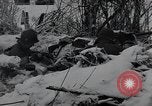Image of 101st Airborne Division Bastogne Belgium, 1945, second 19 stock footage video 65675071301