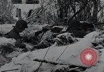Image of 101st Airborne Division Bastogne Belgium, 1945, second 20 stock footage video 65675071301