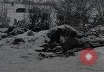 Image of 101st Airborne Division Bastogne Belgium, 1945, second 29 stock footage video 65675071301