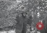 Image of 101st Airborne Division Bastogne Belgium, 1945, second 4 stock footage video 65675071302