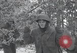 Image of 101st Airborne Division Bastogne Belgium, 1945, second 6 stock footage video 65675071302