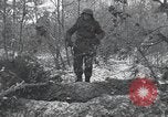 Image of 101st Airborne Division Bastogne Belgium, 1945, second 18 stock footage video 65675071302