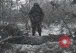 Image of 101st Airborne Division Bastogne Belgium, 1945, second 20 stock footage video 65675071302
