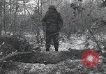 Image of 101st Airborne Division Bastogne Belgium, 1945, second 21 stock footage video 65675071302