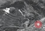 Image of 101st Airborne Division Bastogne Belgium, 1945, second 22 stock footage video 65675071302