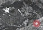 Image of 101st Airborne Division Bastogne Belgium, 1945, second 23 stock footage video 65675071302