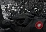Image of 101st Airborne Division Bastogne Belgium, 1945, second 35 stock footage video 65675071302
