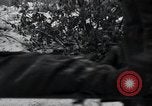 Image of 101st Airborne Division Bastogne Belgium, 1945, second 36 stock footage video 65675071302