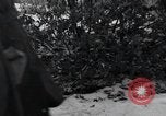 Image of 101st Airborne Division Bastogne Belgium, 1945, second 37 stock footage video 65675071302