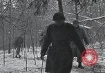 Image of 101st Airborne Division Bastogne Belgium, 1945, second 4 stock footage video 65675071303