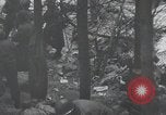 Image of 101st Airborne Division Bastogne Belgium, 1945, second 8 stock footage video 65675071303