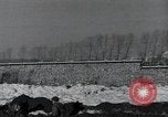 Standbild 101st Airborne Division Bastogne Belgien, 1945, aus Sekunde 9 historischem Filmmaterial Videoclip 65675071304