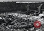 Standbild 101st Airborne Division Bastogne Belgien, 1945, aus Sekunde 18 historischem Filmmaterial Videoclip 65675071304