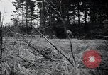 Image of United States 1st Infantry Division Belgium, 1944, second 22 stock footage video 65675071308