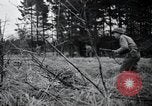 Image of United States 1st Infantry Division Belgium, 1944, second 23 stock footage video 65675071308