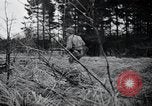 Image of United States 1st Infantry Division Belgium, 1944, second 25 stock footage video 65675071308