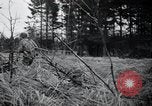 Image of United States 1st Infantry Division Belgium, 1944, second 27 stock footage video 65675071308