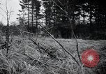 Image of United States 1st Infantry Division Belgium, 1944, second 29 stock footage video 65675071308