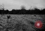 Image of United States 1st Infantry Division Belgium, 1944, second 30 stock footage video 65675071308