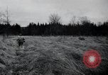 Image of United States 1st Infantry Division Belgium, 1944, second 31 stock footage video 65675071308