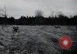 Image of United States 1st Infantry Division Belgium, 1944, second 32 stock footage video 65675071308