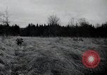 Image of United States 1st Infantry Division Belgium, 1944, second 33 stock footage video 65675071308