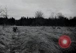 Image of United States 1st Infantry Division Belgium, 1944, second 34 stock footage video 65675071308