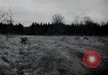 Image of United States 1st Infantry Division Belgium, 1944, second 35 stock footage video 65675071308