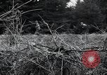 Image of United States 1st Infantry Division Belgium, 1944, second 37 stock footage video 65675071308