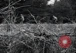 Image of United States 1st Infantry Division Belgium, 1944, second 38 stock footage video 65675071308