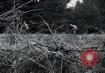 Image of United States 1st Infantry Division Belgium, 1944, second 39 stock footage video 65675071308