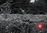 Image of United States 1st Infantry Division Belgium, 1944, second 43 stock footage video 65675071308