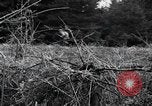 Image of United States 1st Infantry Division Belgium, 1944, second 44 stock footage video 65675071308